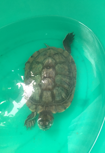 олег (@oleg317681) — моя фотография № 1