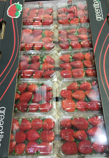 Orxan (@orxan1562) — моя фотография № 4