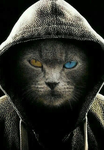 kamol (@kamol2111) — моя фотография № 1