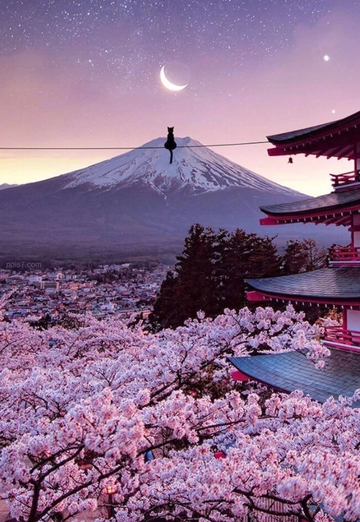 олег (@oleg346629) — моя фотография № 1